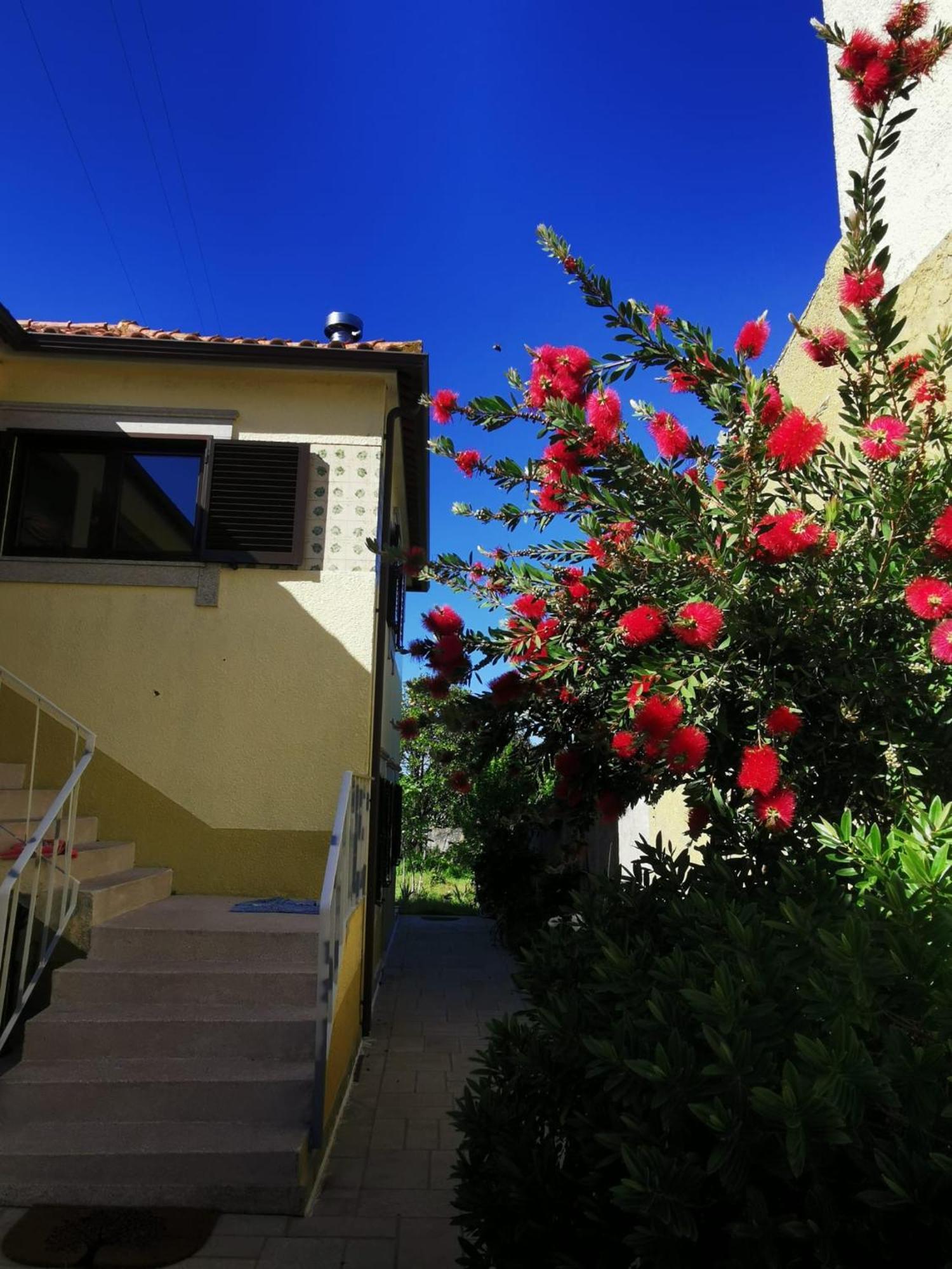 Casa Sao Pedro Belinho Only Pilgrims Bed & Breakfast Eksteriør bilde